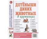 Книга 60122 Детеныши диких животных в картинках.Наглядное пособие для педагогов,логопедов,воспитателей и родителей