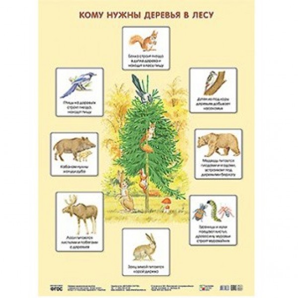 Плакат 978-5-43150-638-3 Кому нужны деревья в лесу
