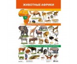 Плакат Животные Африки 2705