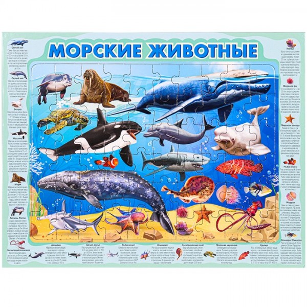 Пазл-рамка 60 Морские животные П60-8739